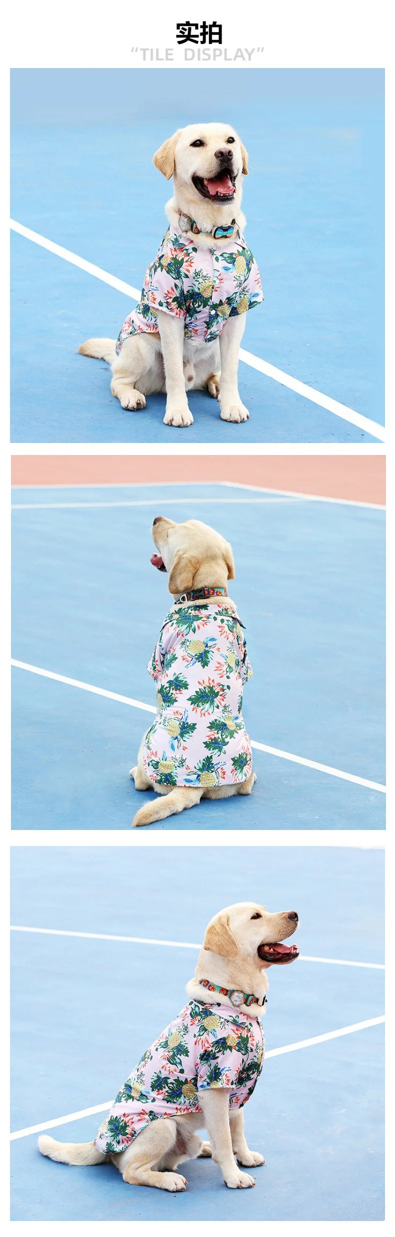 Hawaiian Beach Dog T-Shirt – Lightweight Summer Outfit for Small Dogs & Cats