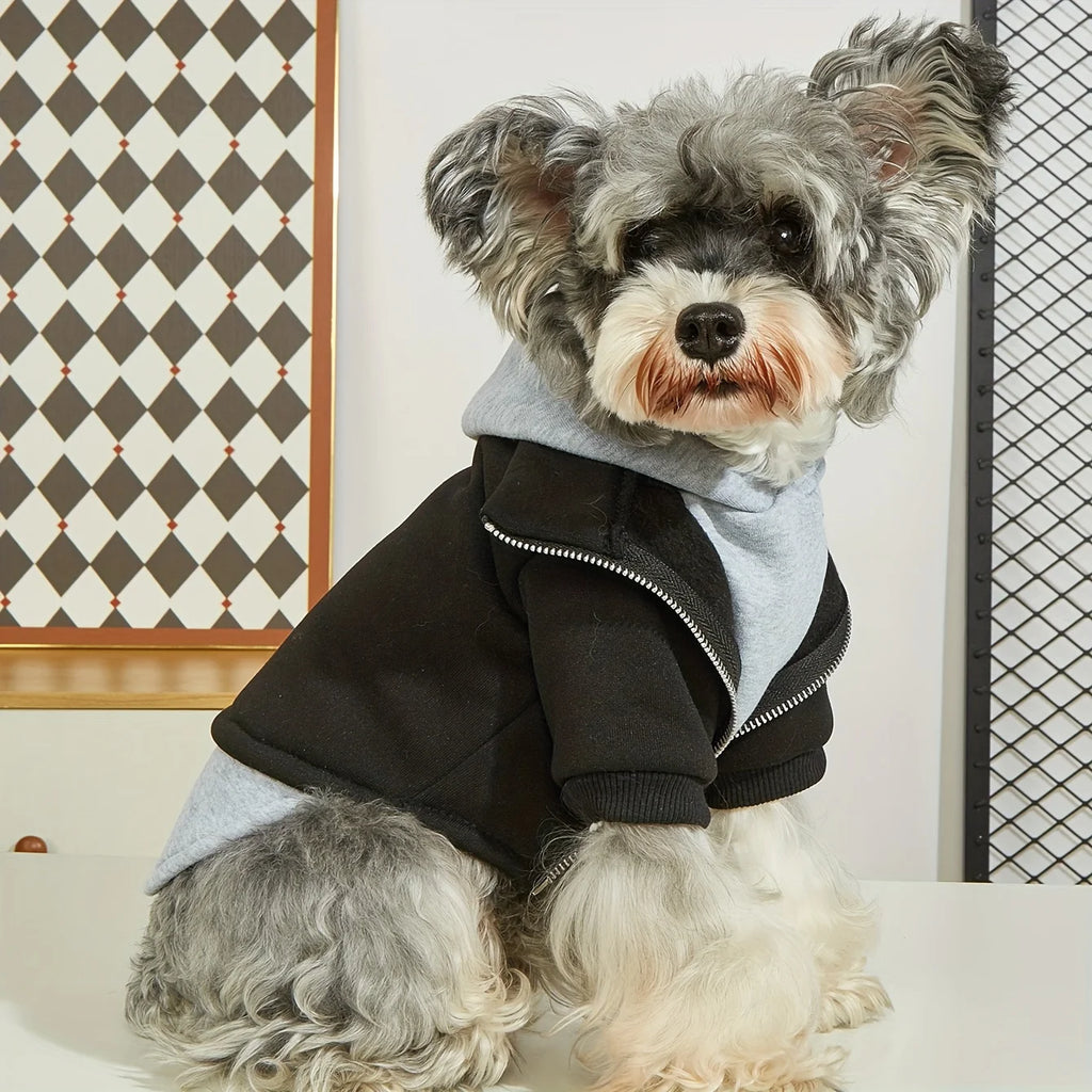 Winter Dog Hoodie – Soft, Warm & Stylish Coat for Small and Medium Dogs