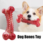Natural Rubber Dog Bone – Durable Chew Toy for Teeth Cleaning & Training