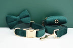 Green Velvet Personalized Dog Collar, Leash & Harness Set