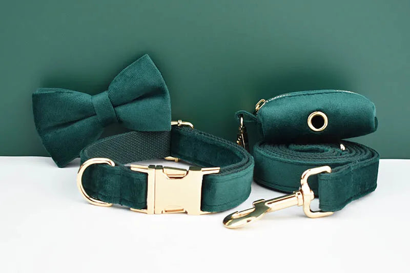 Green Velvet Personalized Dog Collar, Leash & Harness Set