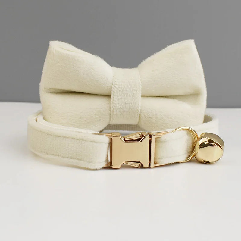 Velvet Cat Collar Luxury Cat Collar Personalized with Name Plate Bell Bow tie