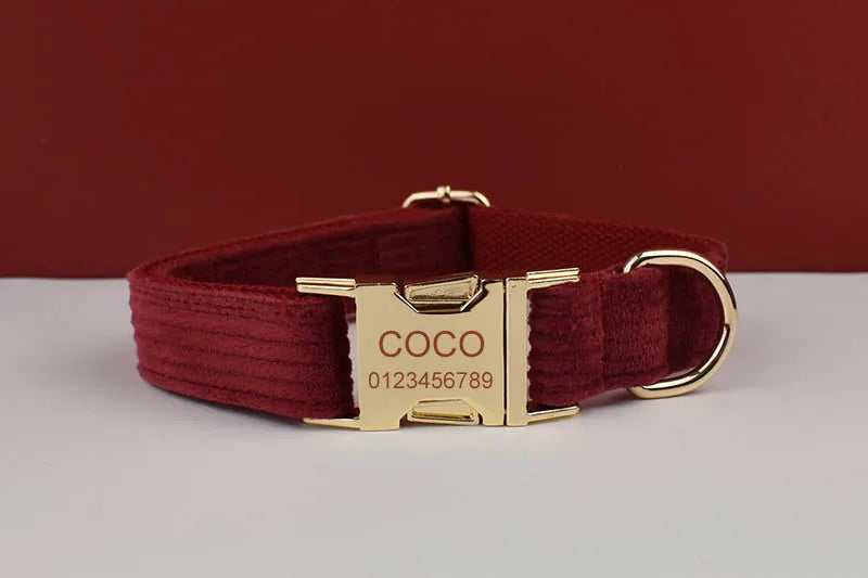 Personalized Dog Collar, Leash & Harness Set