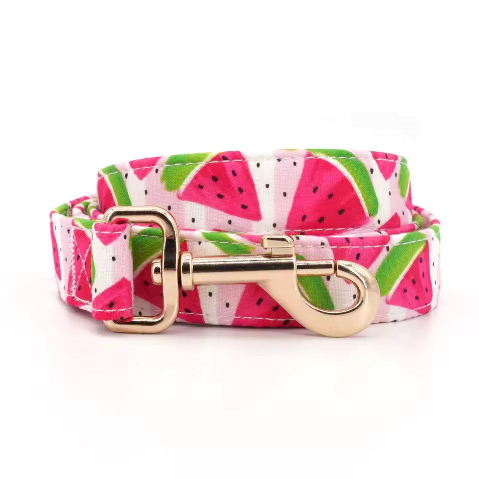 Watermelon Dog Collar and Leash Set