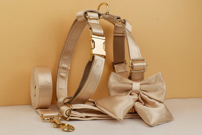 Personalized Dog Collar, Leash & Harness Set