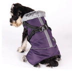 Winter Dog Jacket with Harness – Waterproof, Windproof Coat for Small & Medium Dogs