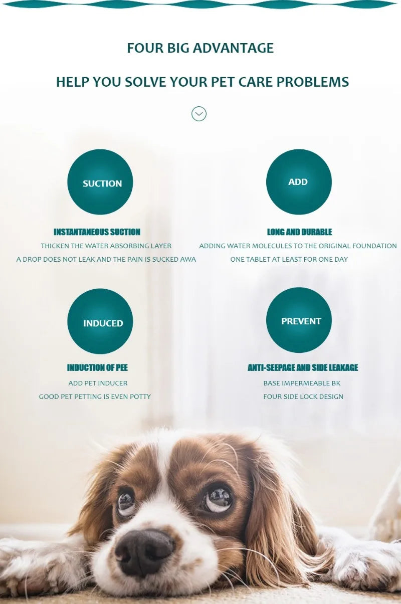 Reusable Waterproof Dog Pee Pad – Washable Absorbent Pet Training Mat