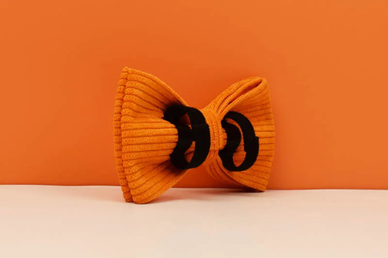 Orange Corduroy Personalized Dog Collar, Leash & Harness Set