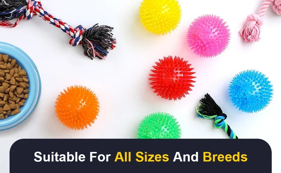 Squeaky Spiky Dog Ball – Durable Chew Toy for Teething Puppies & Aggressive Chewers