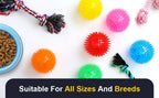 Squeaky Spiky Dog Ball – Durable Chew Toy for Teething Puppies & Aggressive Chewers