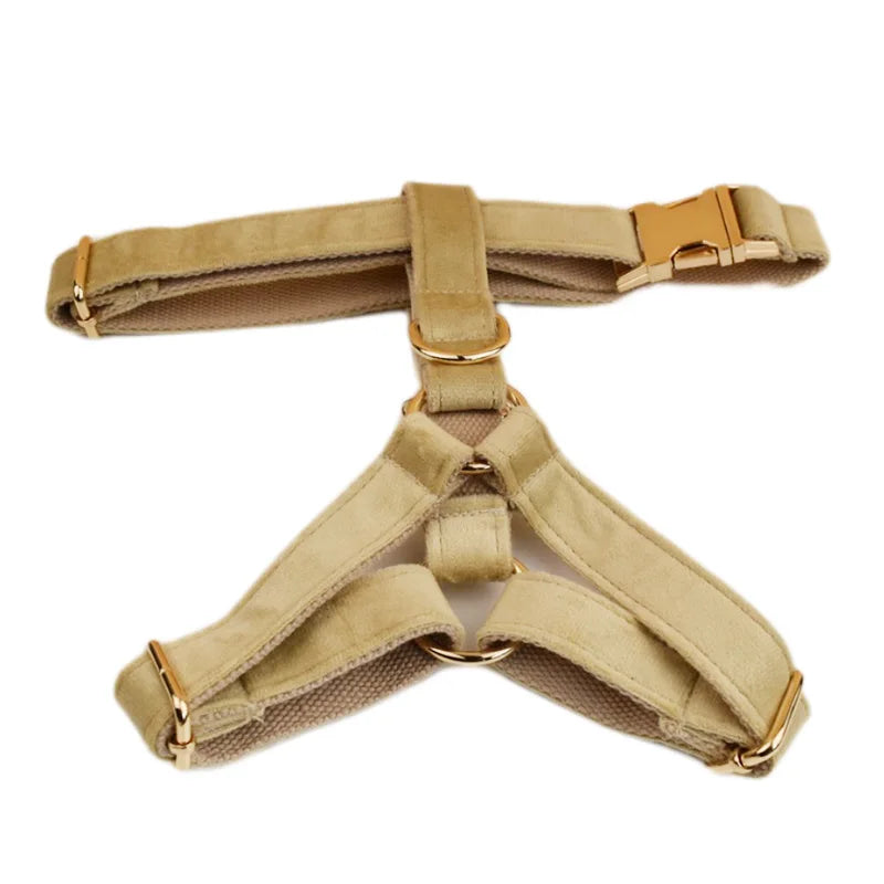Nude Velvet Personalized Dog Collar, Leash & Harness Set