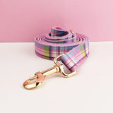 Leash