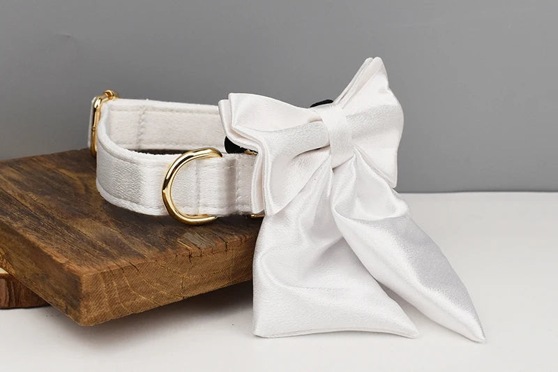 White Personalized Dog Collar, Leash & Harness Set