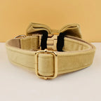 Nude Velvet Personalized Dog Collar, Leash & Harness Set