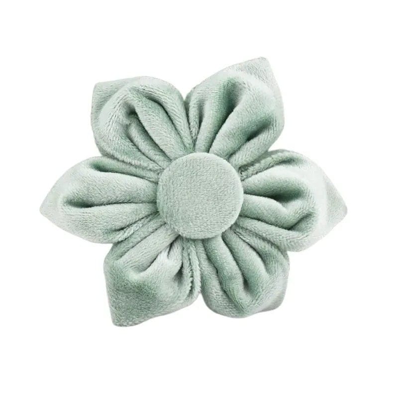 DDPaws  Flower / XS Mint Green Pink Velvet Set
