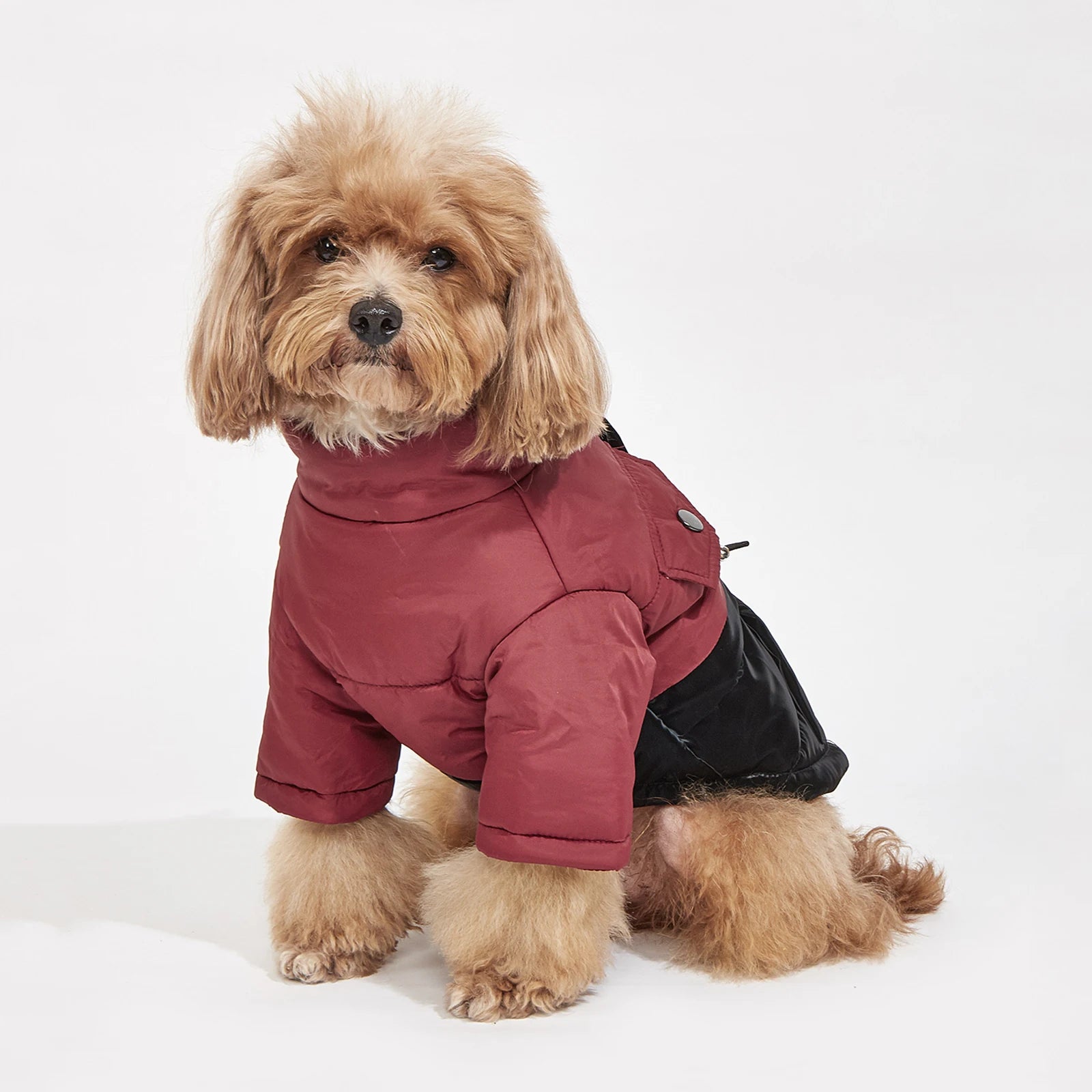Winter Dog Jacket – Windproof, Cold-Resistant Coat for Small & Medium Dogs