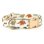 Dinosaur Dog Collar and Leash Set