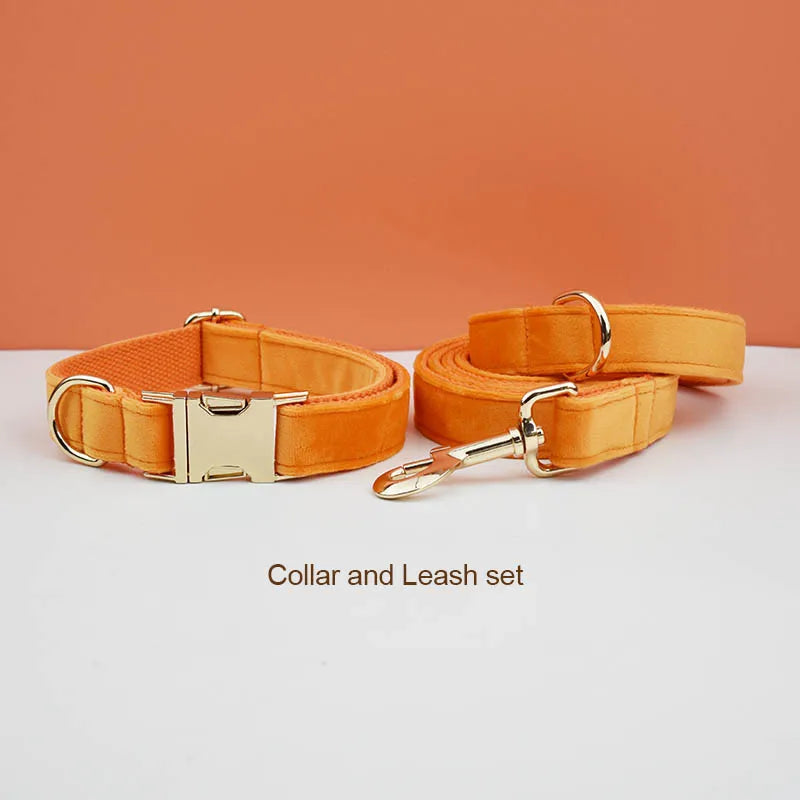 Orange Velvet Personalized Dog Collar, Leash & Harness Set