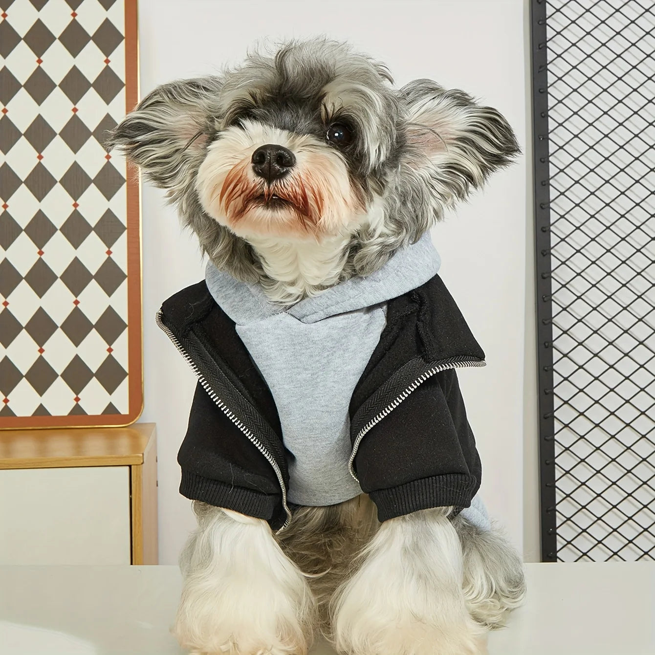 Winter Dog Hoodie – Soft, Warm & Stylish Coat for Small and Medium Dogs