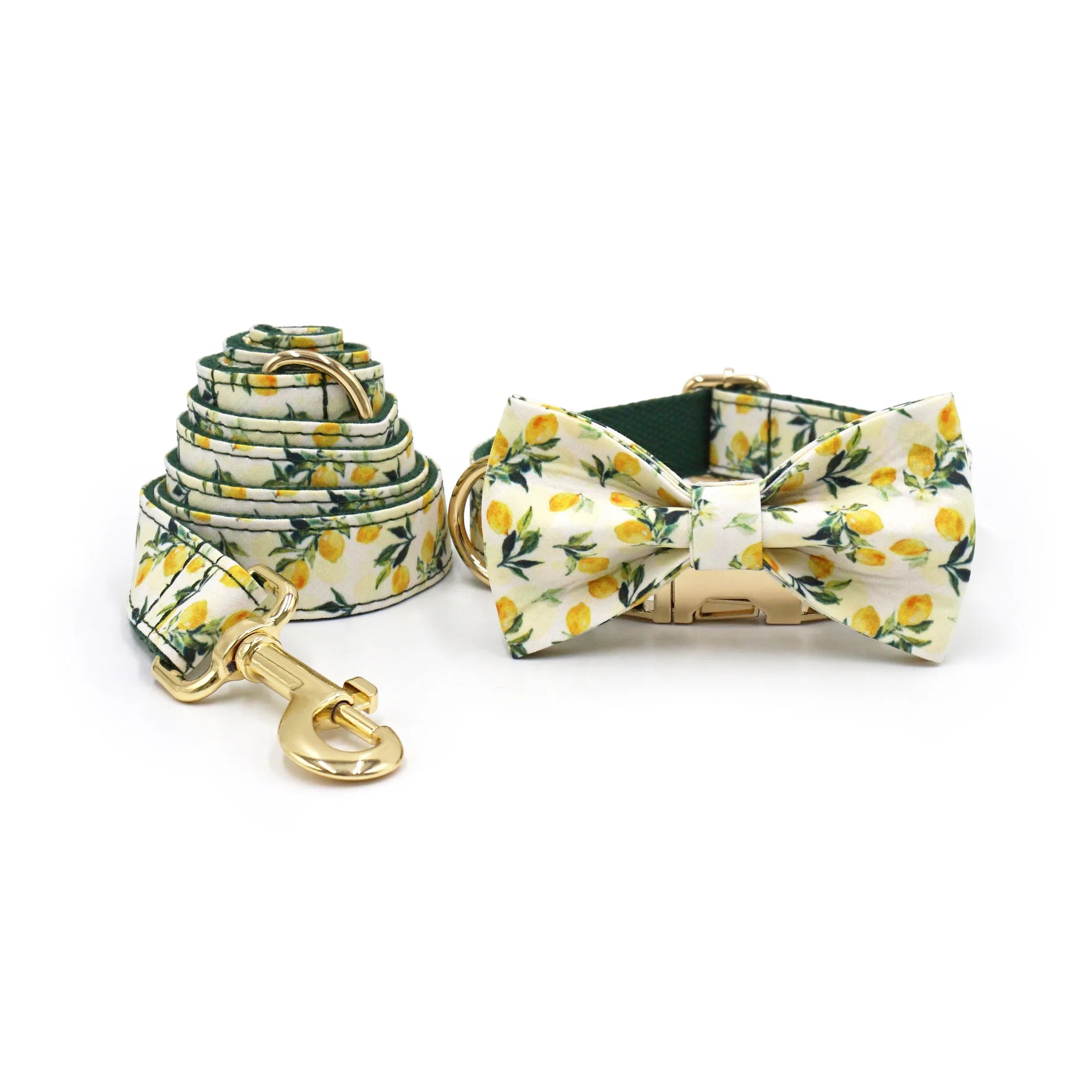 Summer Fruit Personalized Dog Bowtie Collar and Leash Set, Custom Laser Pet Necklace, Cute Pet Accessory