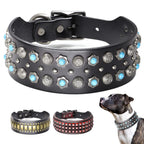 Genuine Leather Dog Collar – 2-Inch Wide Luxury Spike & Diamond Design for Medium & Large Dogs
