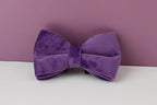 Purple Velvet Personalized Dog Collar, Leash & Harness Set