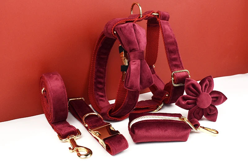 Red Wine Velvet Personalized Dog Collar, Leash & Harness Set