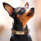 Personalized PU Leather Dog Collar – Soft Padded & Adjustable Custom ID Collar