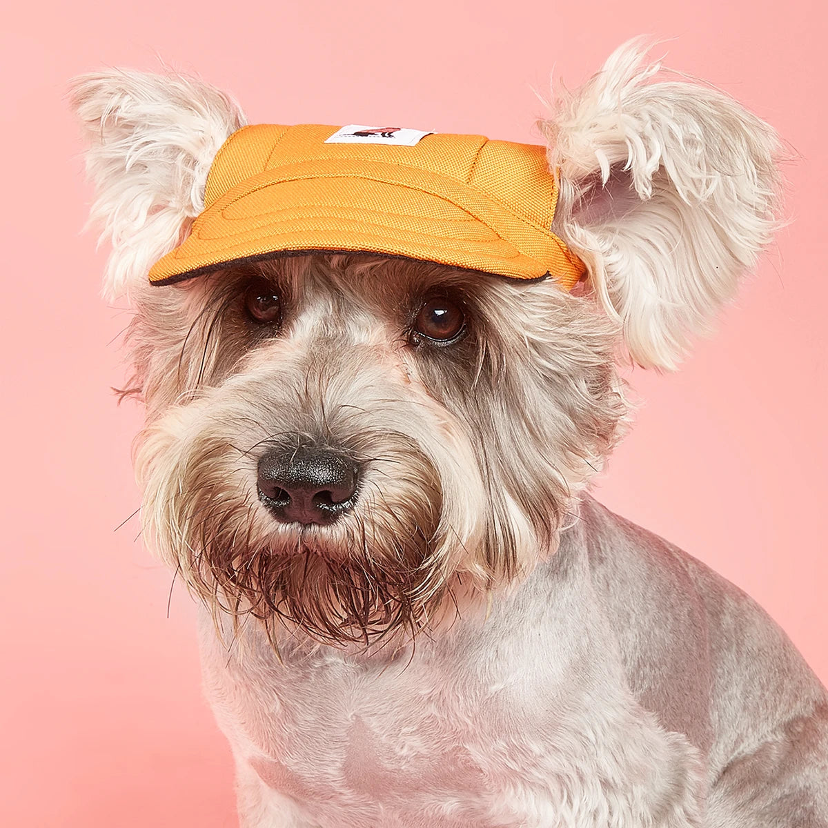 Dog Sun Hat – Adjustable Canvas Baseball Cap for Small & Medium Dogs