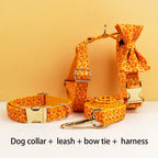 DDPaws  Collar + Harness + Leash + Bowtie / XS Halloween Pumpkin Print Set