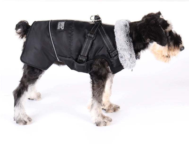 Winter Dog Jacket with Harness – Waterproof, Windproof Coat for Small & Medium Dogs
