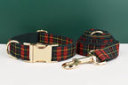 Personalized Dog Collar, Leash & Harness Set