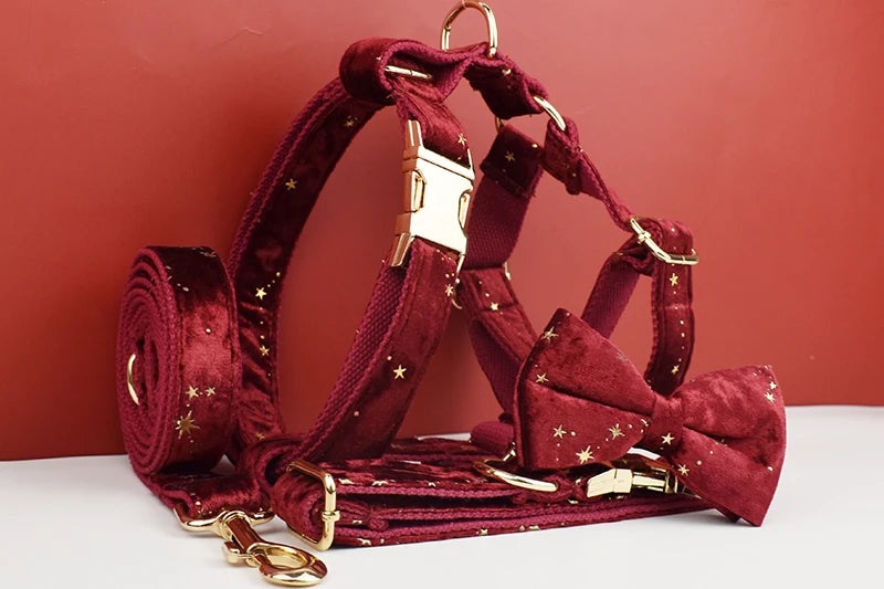 Red Personalized Dog Collar, Leash & Harness Set