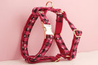 Christmas Personalized Dog Collar, Leash & Harness Set