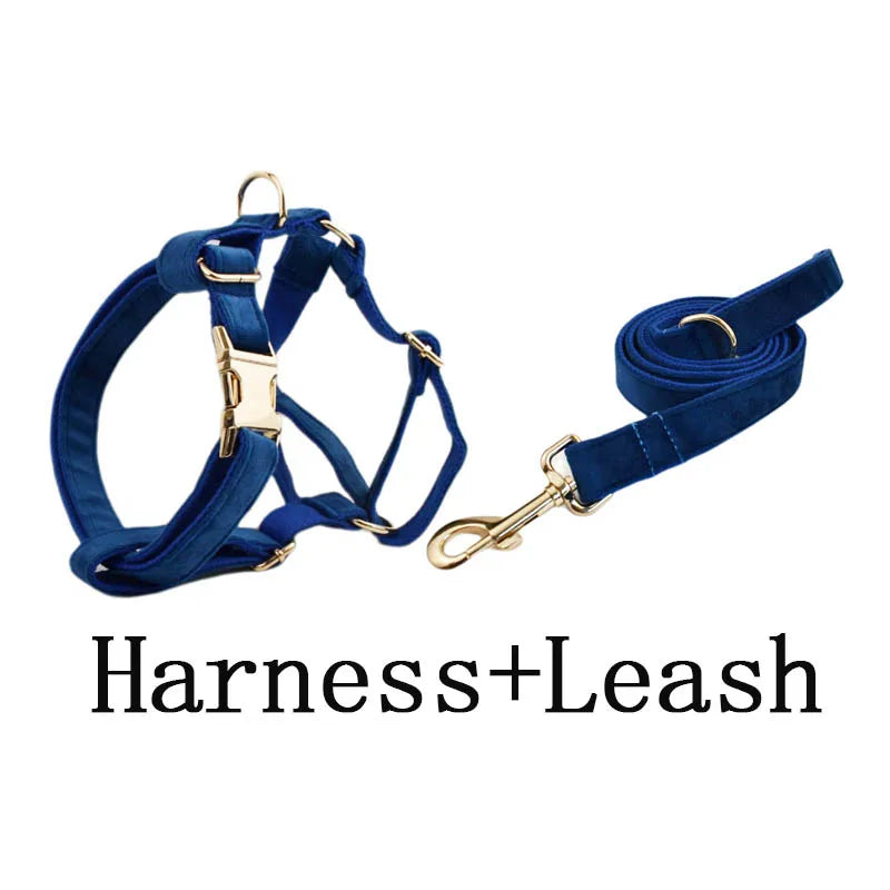 Blue Velvet Personalized Dog Collar, Leash & Harness Set