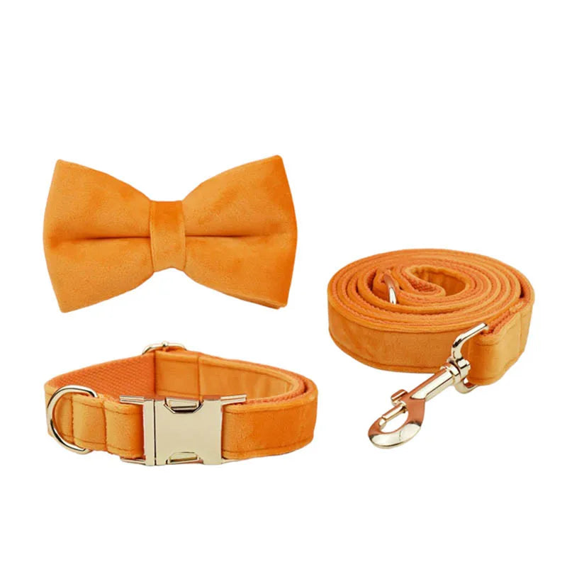 Orange Velvet Personalized Dog Collar, Leash & Harness Set