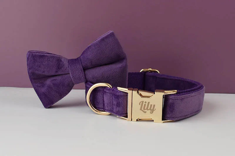 Purple Velvet Personalized Dog Collar, Leash & Harness Set