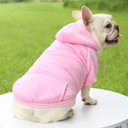 Cozy Winter Dog Hoodie – Warm Hooded Jacket for Small & Medium Dogs