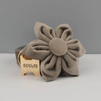 Light grey Velvet Personalized Dog Collar, Leash & Harness Set