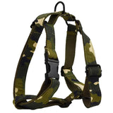 Harness