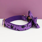 Violet Personalized Dog Collar, Leash & Harness Set