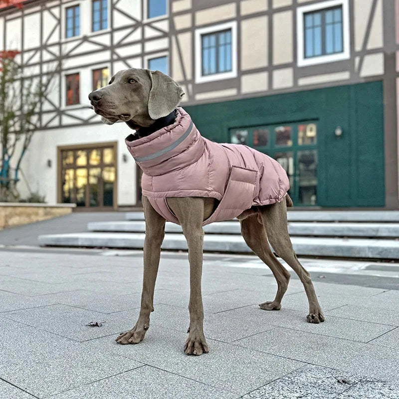 Waterproof Warm Dog Winter Coat – Thick Fleece Down Jacket for Small to Large Pets