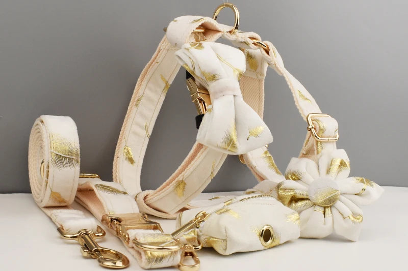 Personalized Dog Collar, Leash & Harness Set