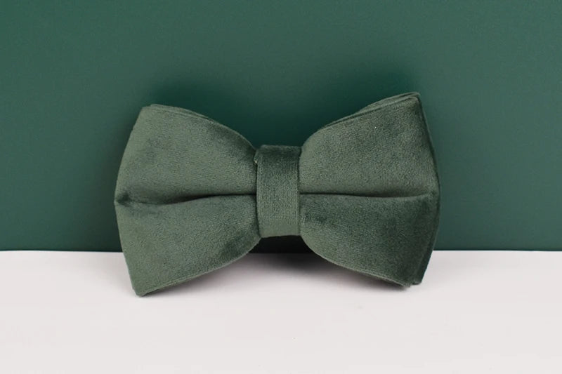 Velvet Personalized Dog Collar, Leash & Harness Set