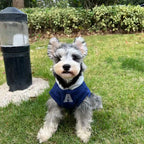 Winter Warm Dog Hoodie – Soft Polyester Pullover for Small & Medium Dogs