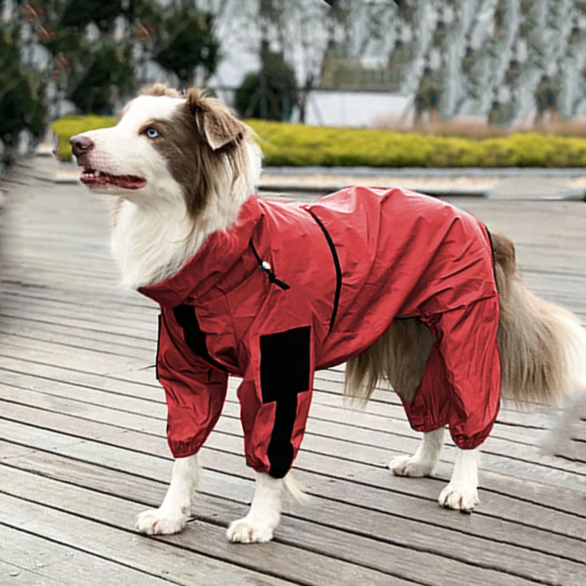 Waterproof Winter Dog Jacket – Fleece-Lined, Windproof Coat for Medium & Large Dogs