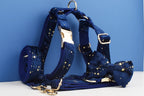 Dark Blue Personalized Dog Collar, Leash & Harness Set