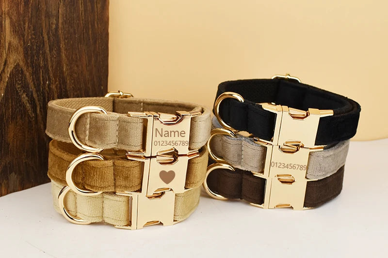 High Quality Dog Collar & Leash Set – Personalized Engraved Nameplate, Padded