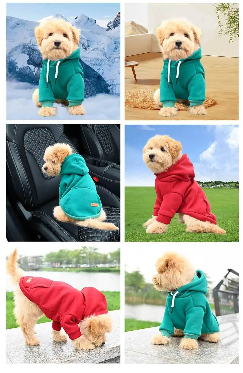 Cotton Fleece Dog Hoodie – Warm Sweatshirt for Small & Medium Dogs
