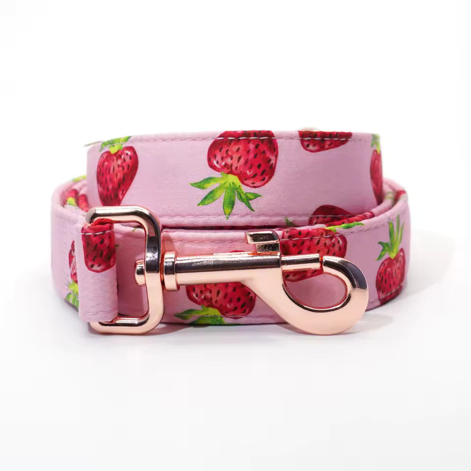 D&D Paws Leash Designed Straberry Dog Vest Set